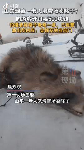 近日，山东烟台，一男子和朋友正在滑雪场滑雪，突然发现一老人在卖貉子，他直接向游客