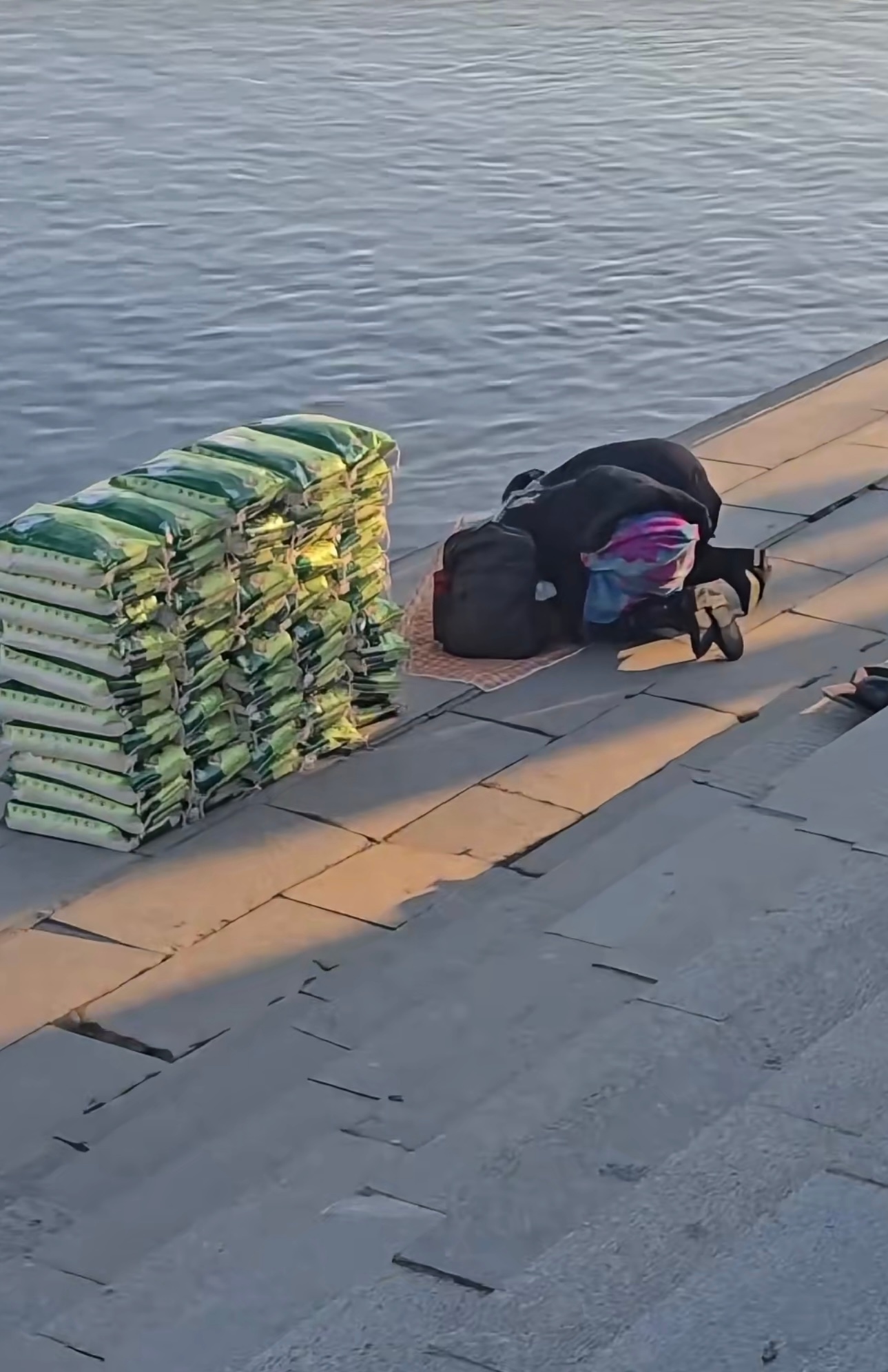 辽宁丹东有人疑在江边放生大米大米的分解会消耗水中氧气可能导致局部水体缺氧影响鱼类