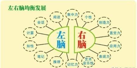 右脑发达的孩子，是学霸潜力股，哈佛教授：三岁前用五分钟暗示法，抓住孩子大脑发育黄