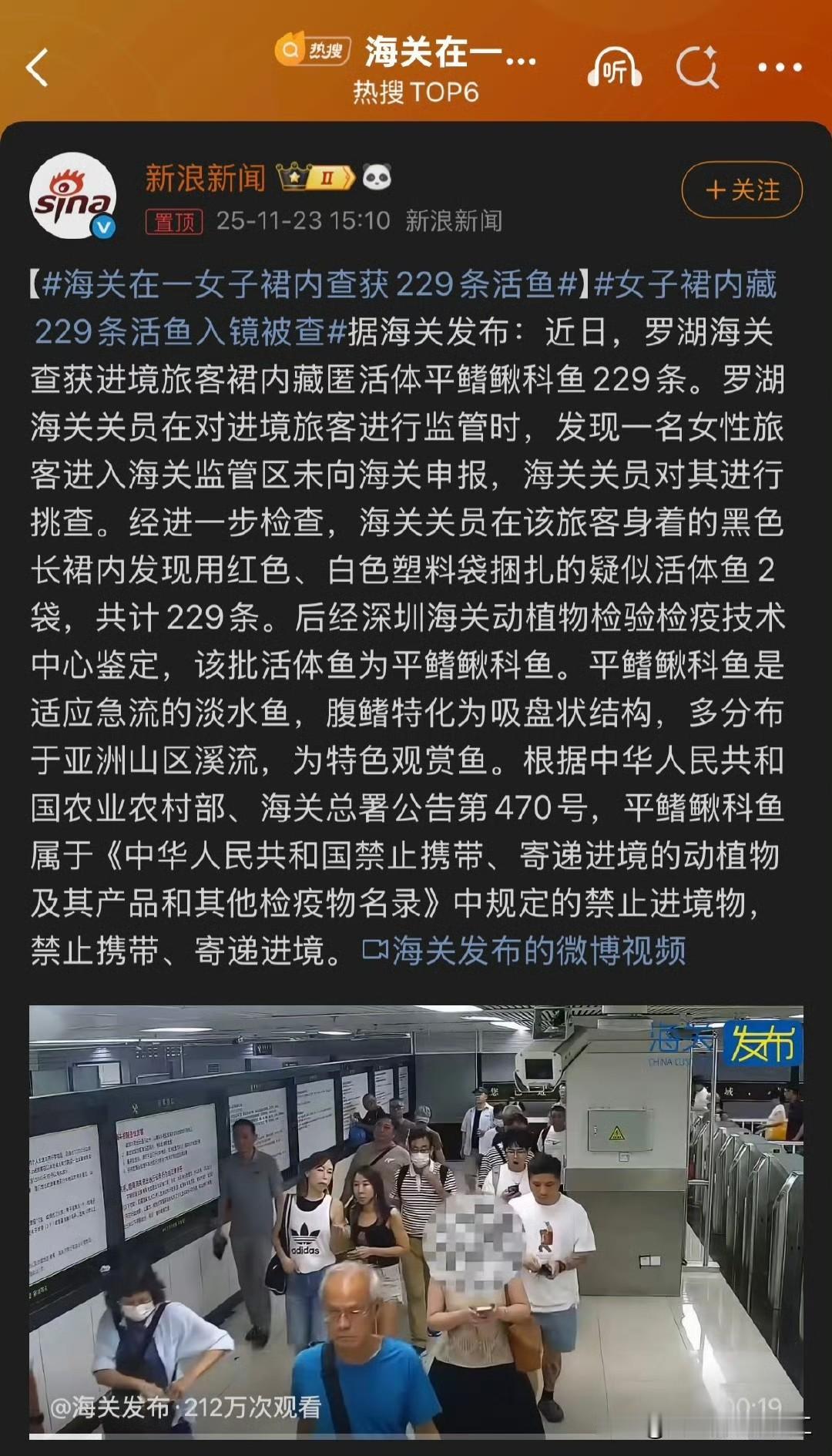 海关在一女子裙内查获229条活鱼

在购物网站上简单查了一下，各种腹吸鳅科根据稀