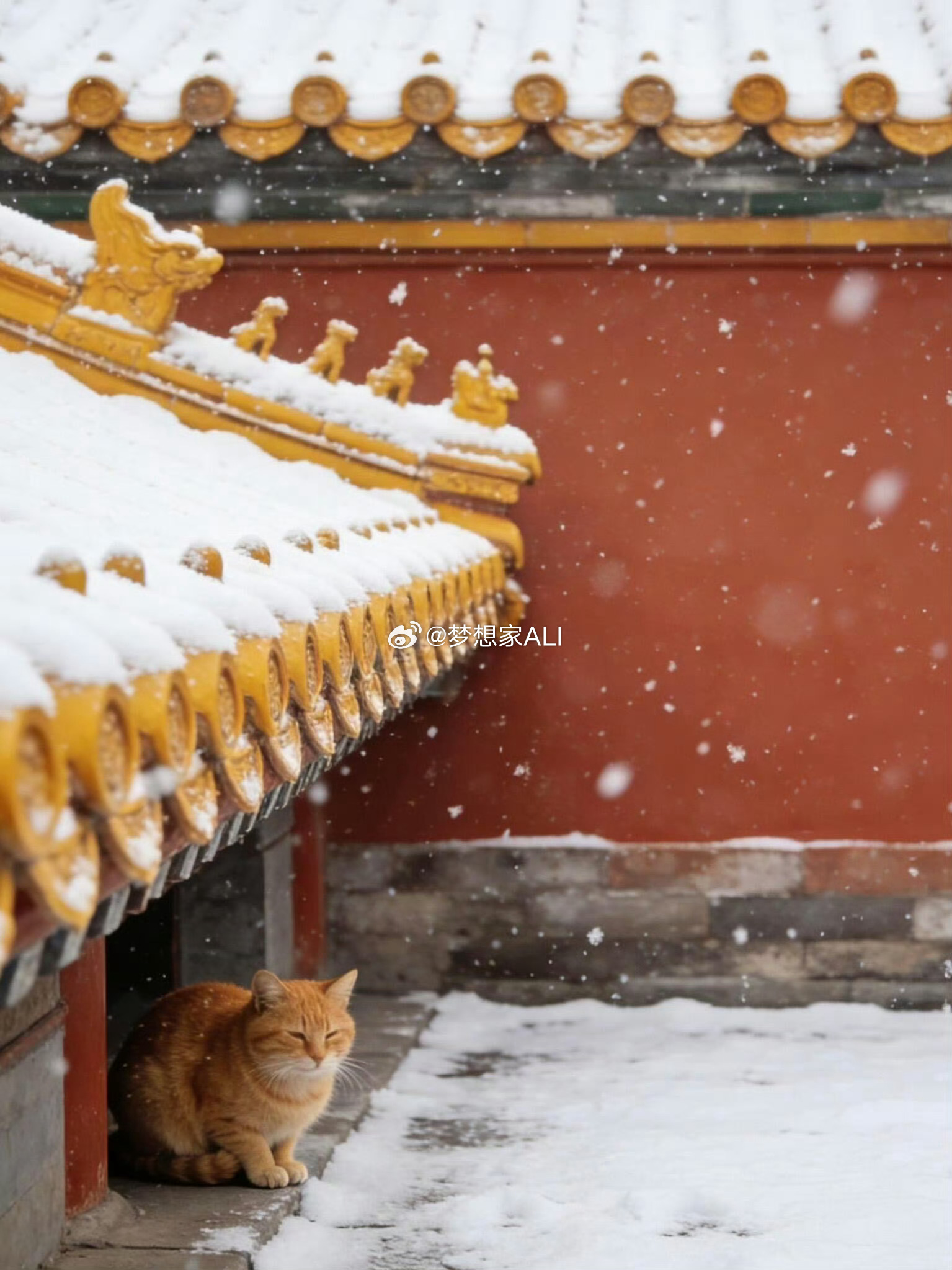 惊蛰至万物生，早☀️北京下雪惊蛰惊蛰至万物生 北京·故宫博物院