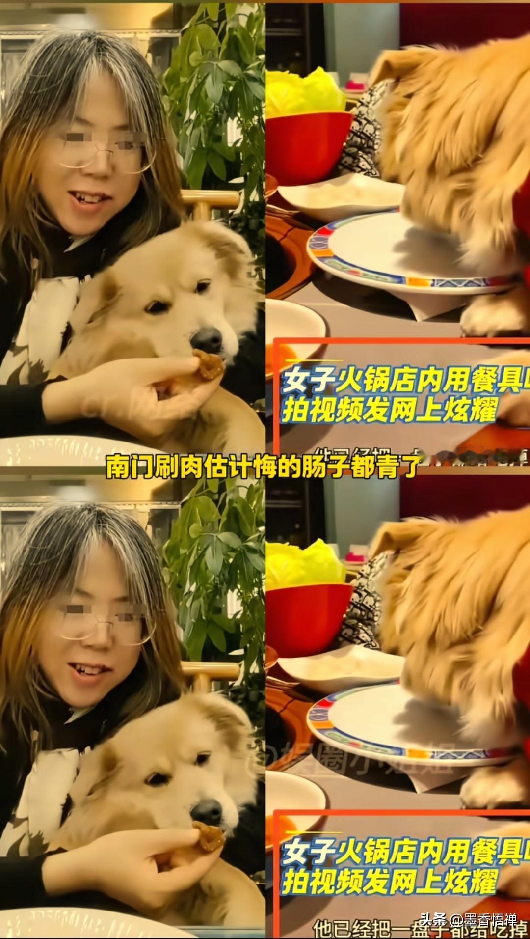 一女子北京王爷府南门刷肉门店就餐，让宠物狗上桌吃完了餐盘中的生肉卷，还拍摄了视频