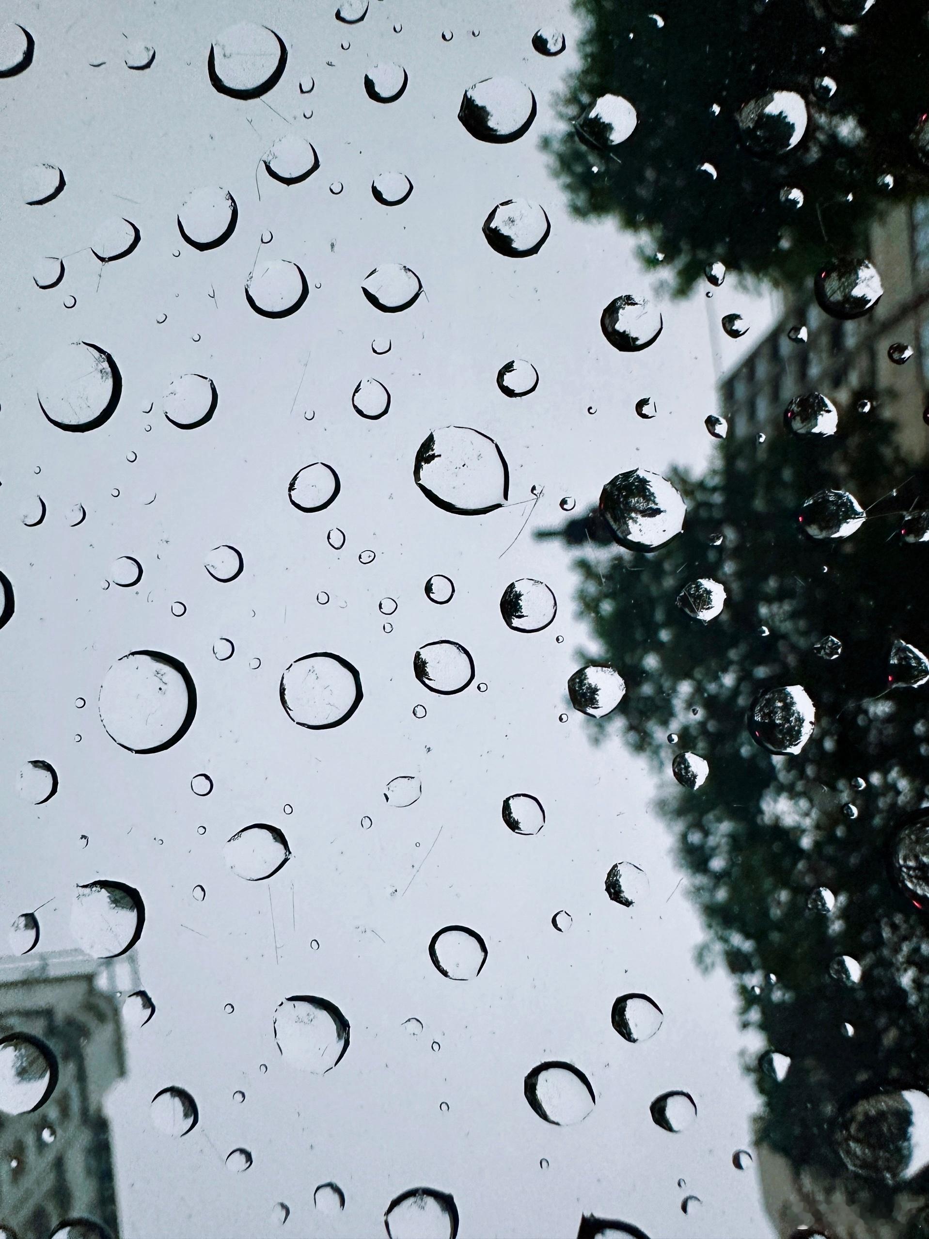 很早吃罢夜饭。开车出去兜兜。天窗上雨珠如星。万航渡路上海人从小是念梵皇渡路。现在