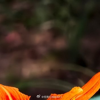 靠谱是有操守，底线严明；靠谱是有姿态，毫无官气；靠谱是有条理，有条不絮；靠谱是有