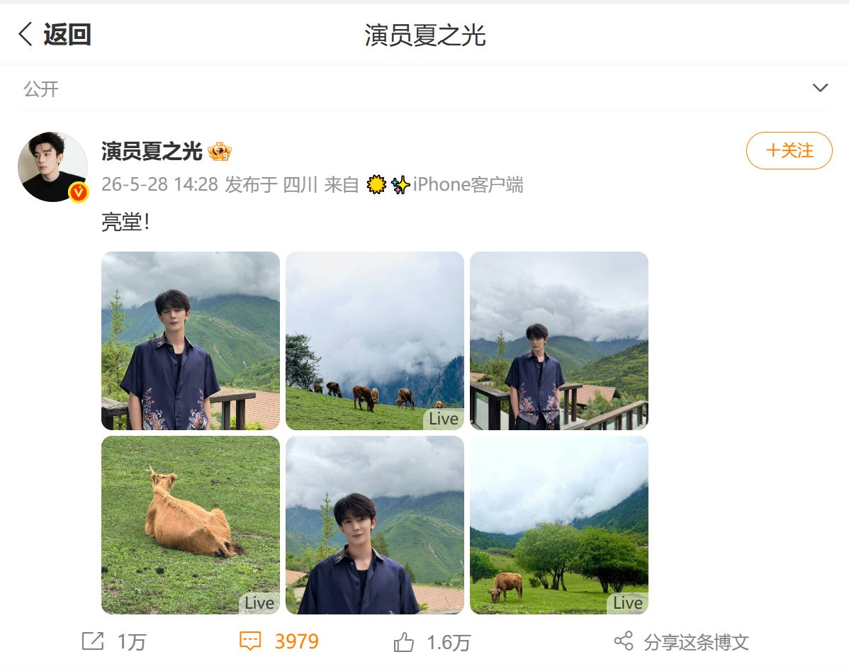夏之光镜头感夏之光亮堂式营业 真的被夏之光的镜头感惊艳到！简简单单两个字亮堂，配