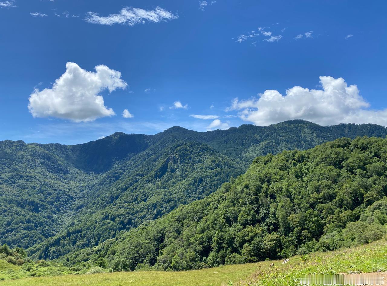 四川首个秋假我也想放秋假…最近成都周边哪里比较好玩啊？求推荐！！！