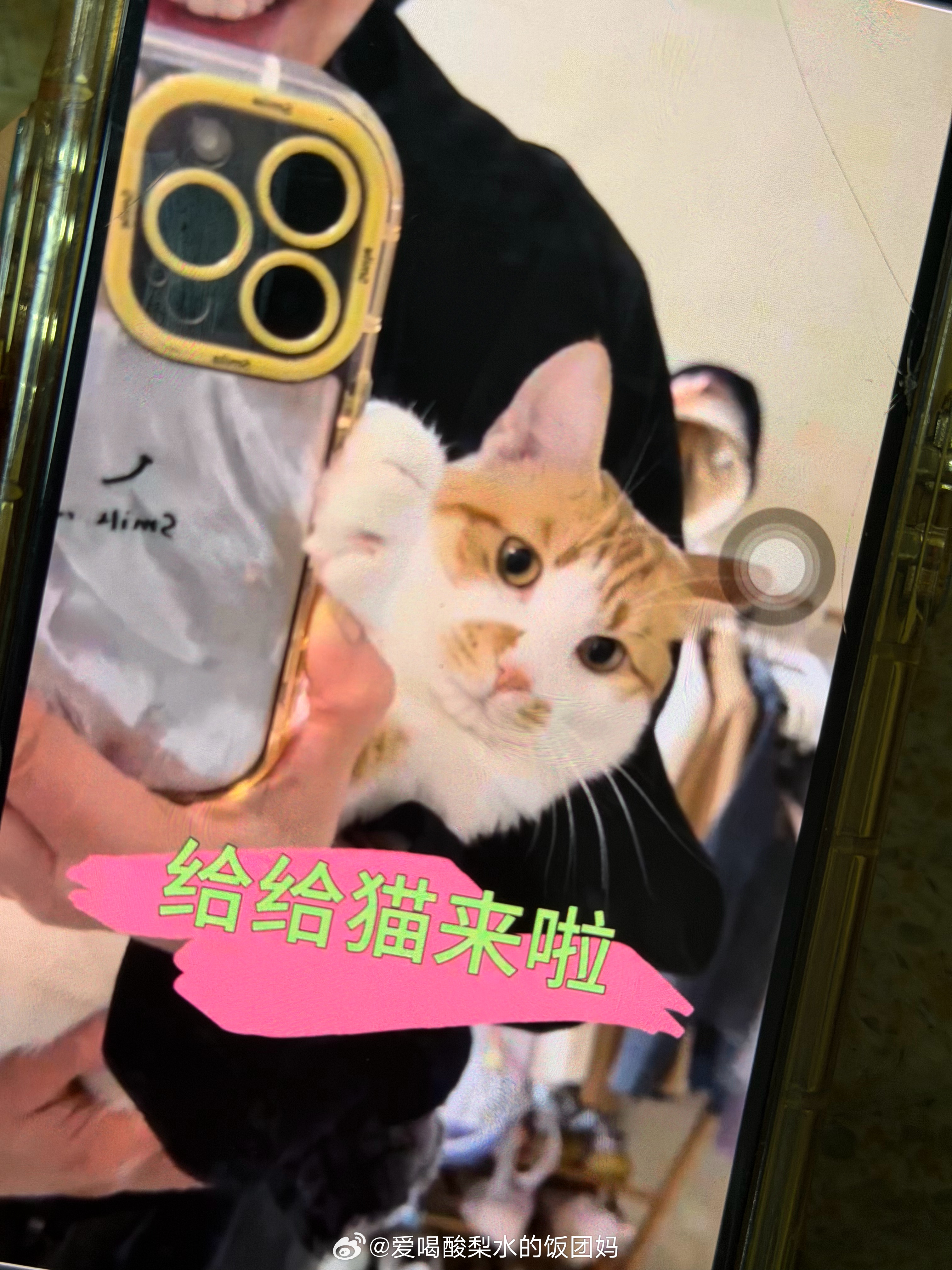 稍后我会猛发几个贵州旅游视频然后更新一个最新鲜热乎乎的给子猫视频[不愧是你][不
