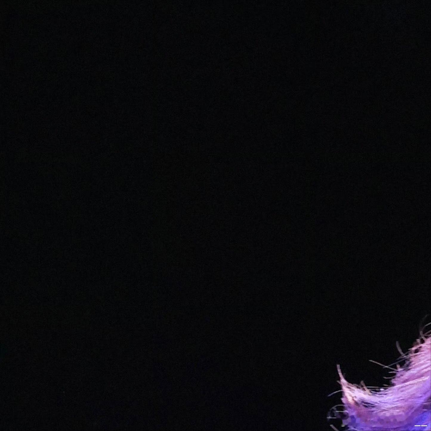 核心定义：由烟酰胺、腺嘌呤、核糖和磷酸基团组成的辅酶，广泛存在于所有活细胞中，是