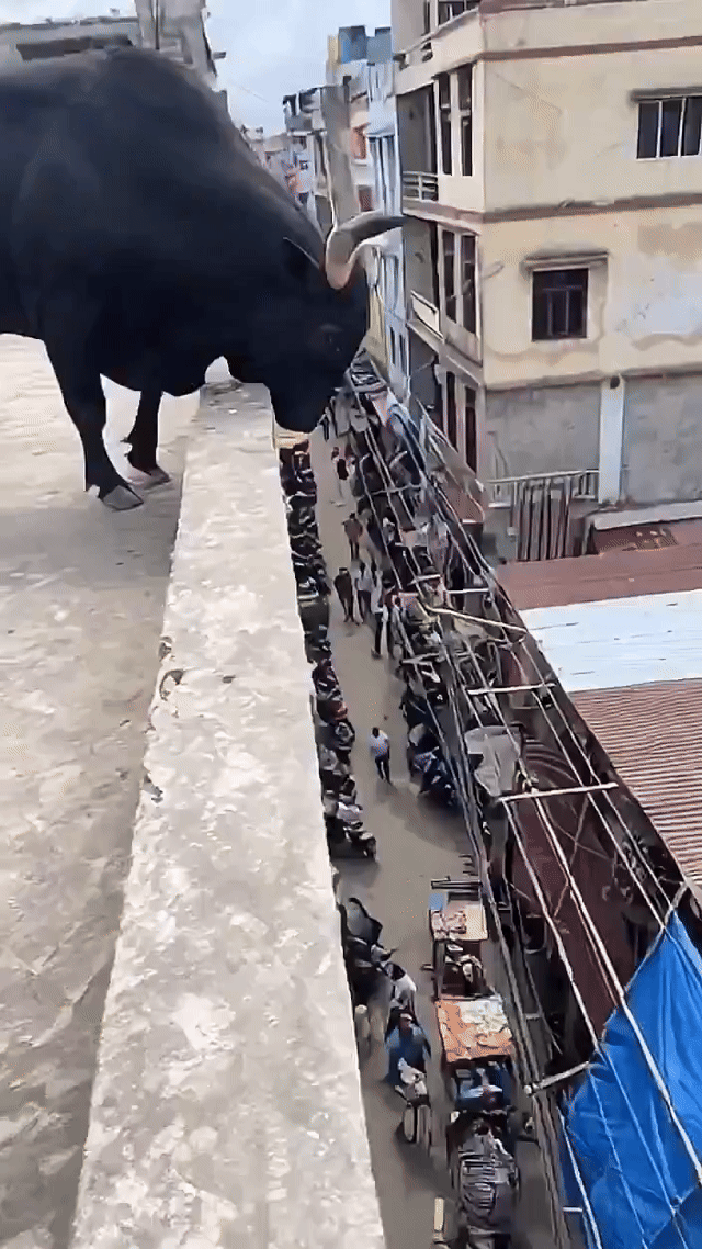 当我终于下定决心满仓梭哈时，市场给我的反馈却是这样的