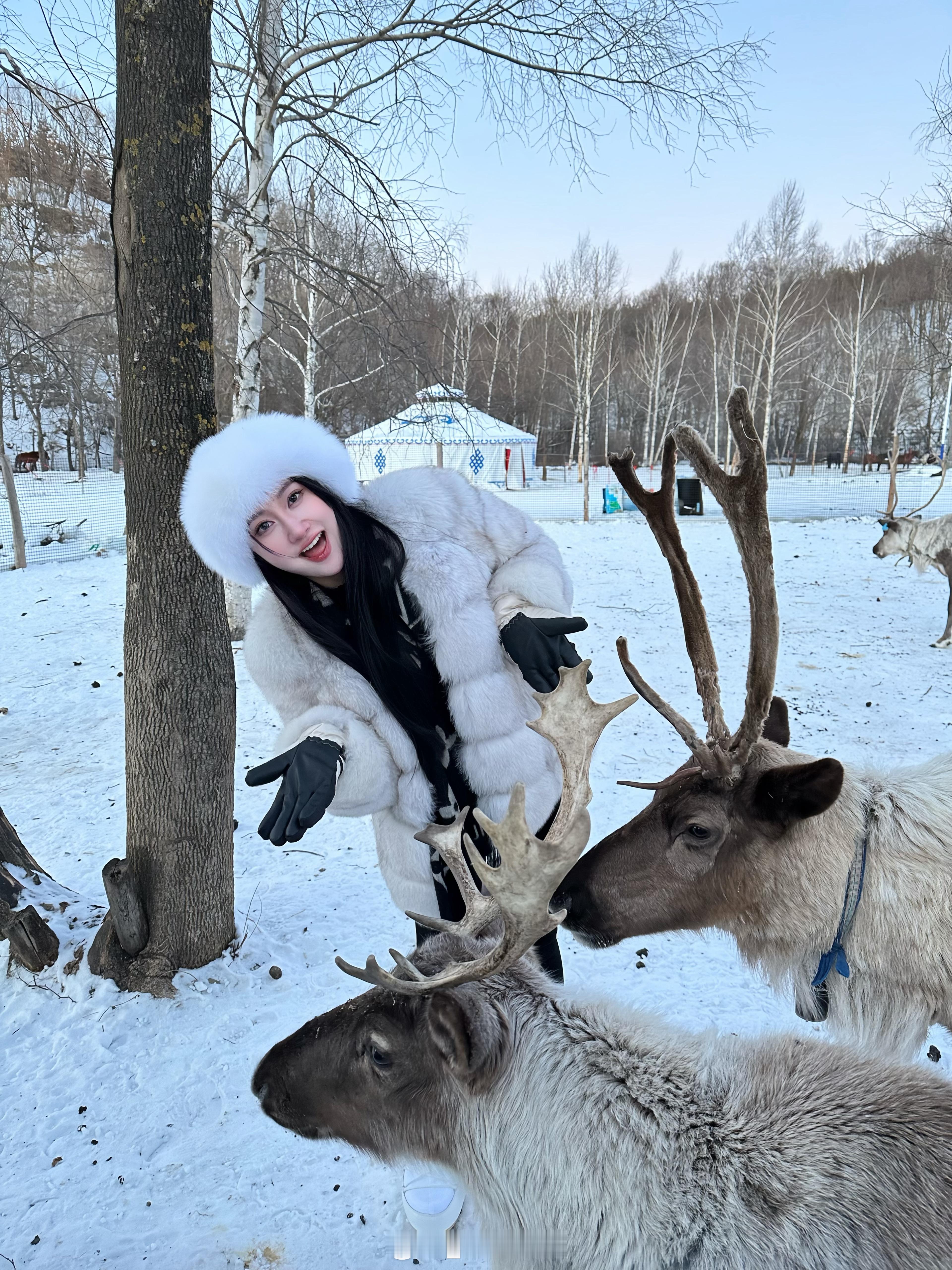 闯入童话世界❄️🦌  