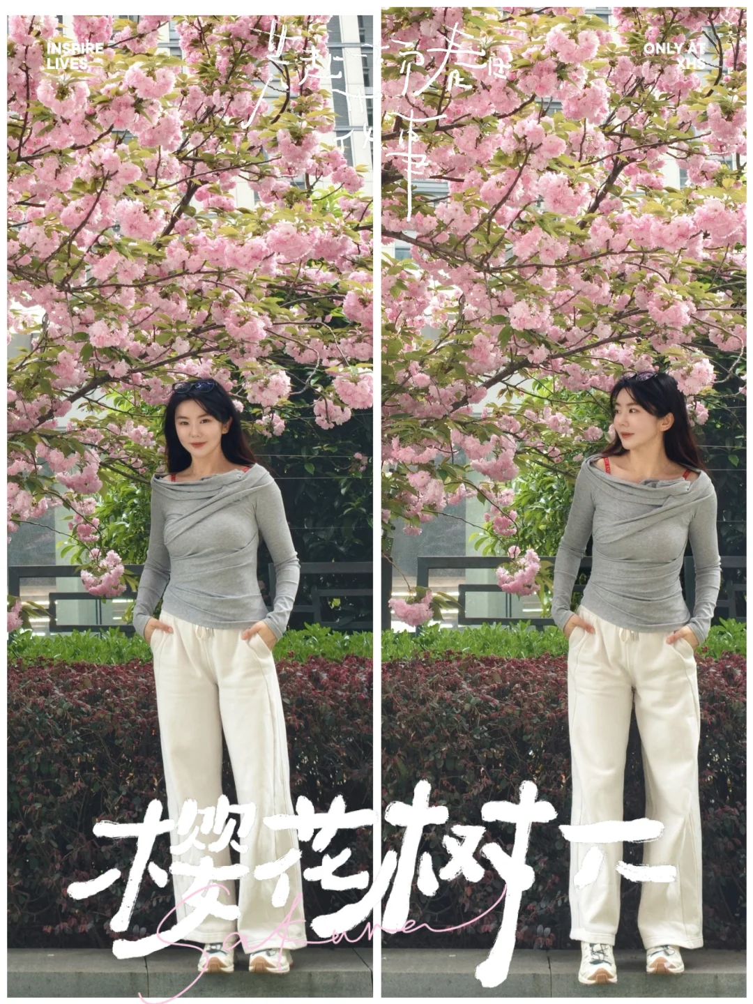 寻春｜樱花树下站谁都美🌸