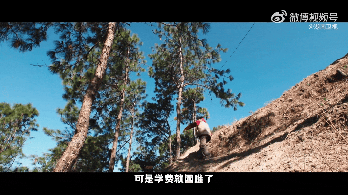 彝族少年把淋过雨所以撑伞具象化夺金2026心有暖阳，便为他人撑伞🌤️曾在善意中