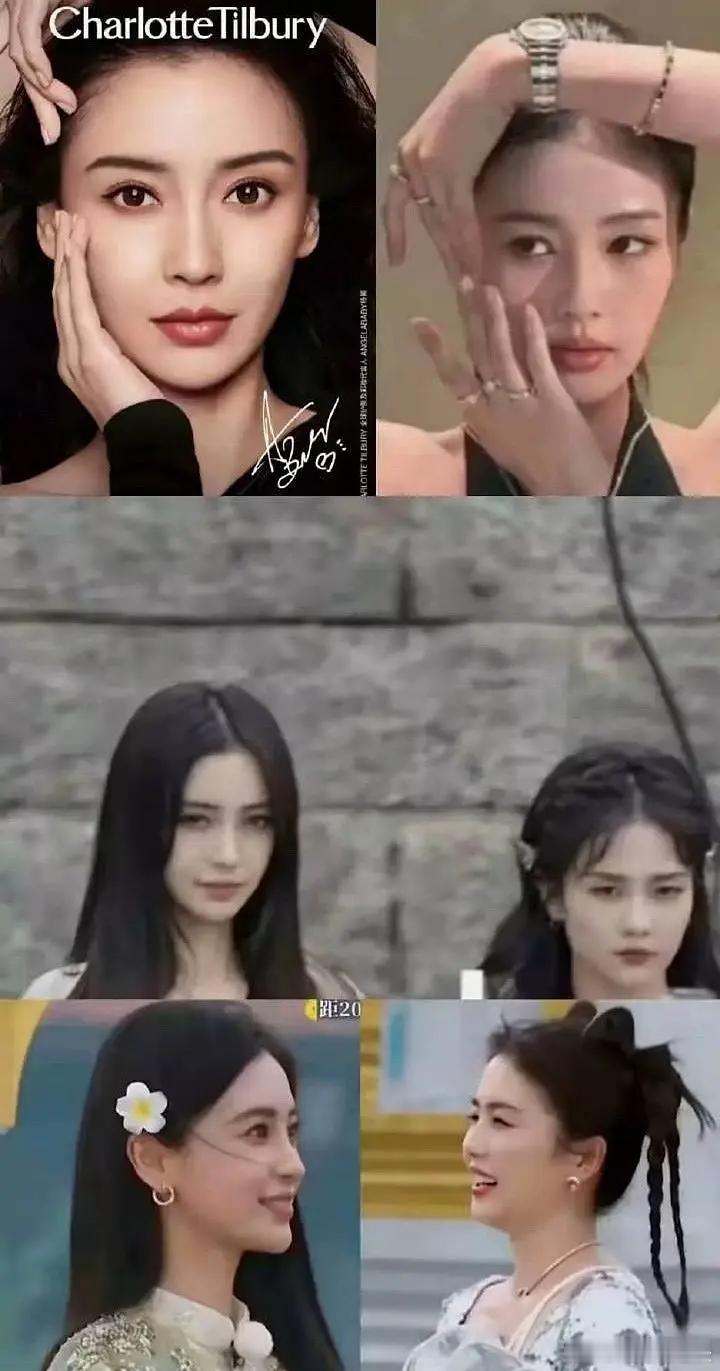 白鹿和baby同框 好虐 