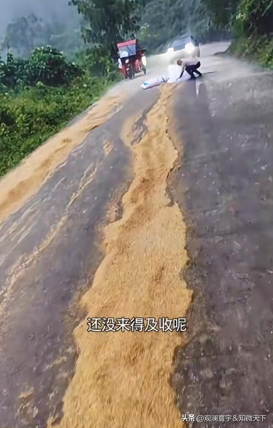 这雨下得太大了，粮食都被冲跑了！