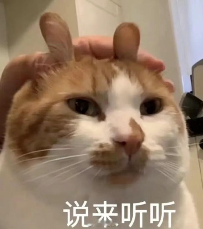 打卡！滴——周三周三一座大山！熬过周三跨过难关！！大家最近有什么烦心事吗？#呆阿