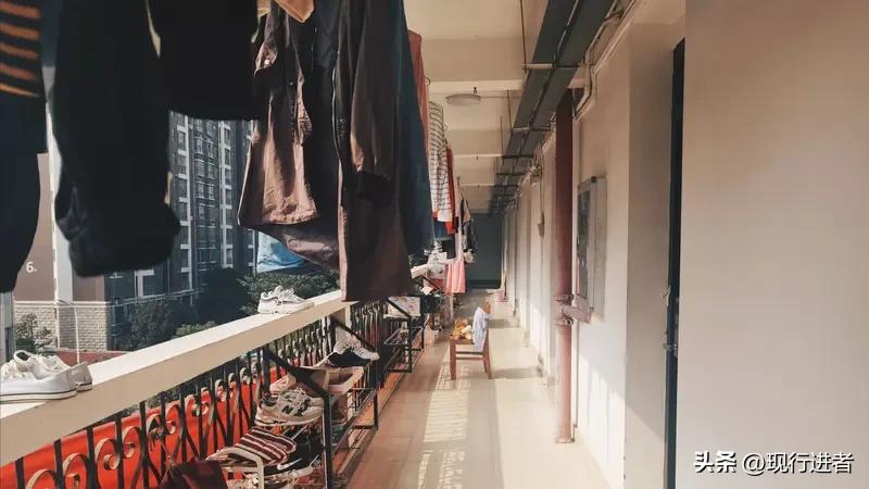 别让大学宿舍沦为直播秀场，可大家都觉得只要合法且能赚钱就没问题。
如今的大学生，