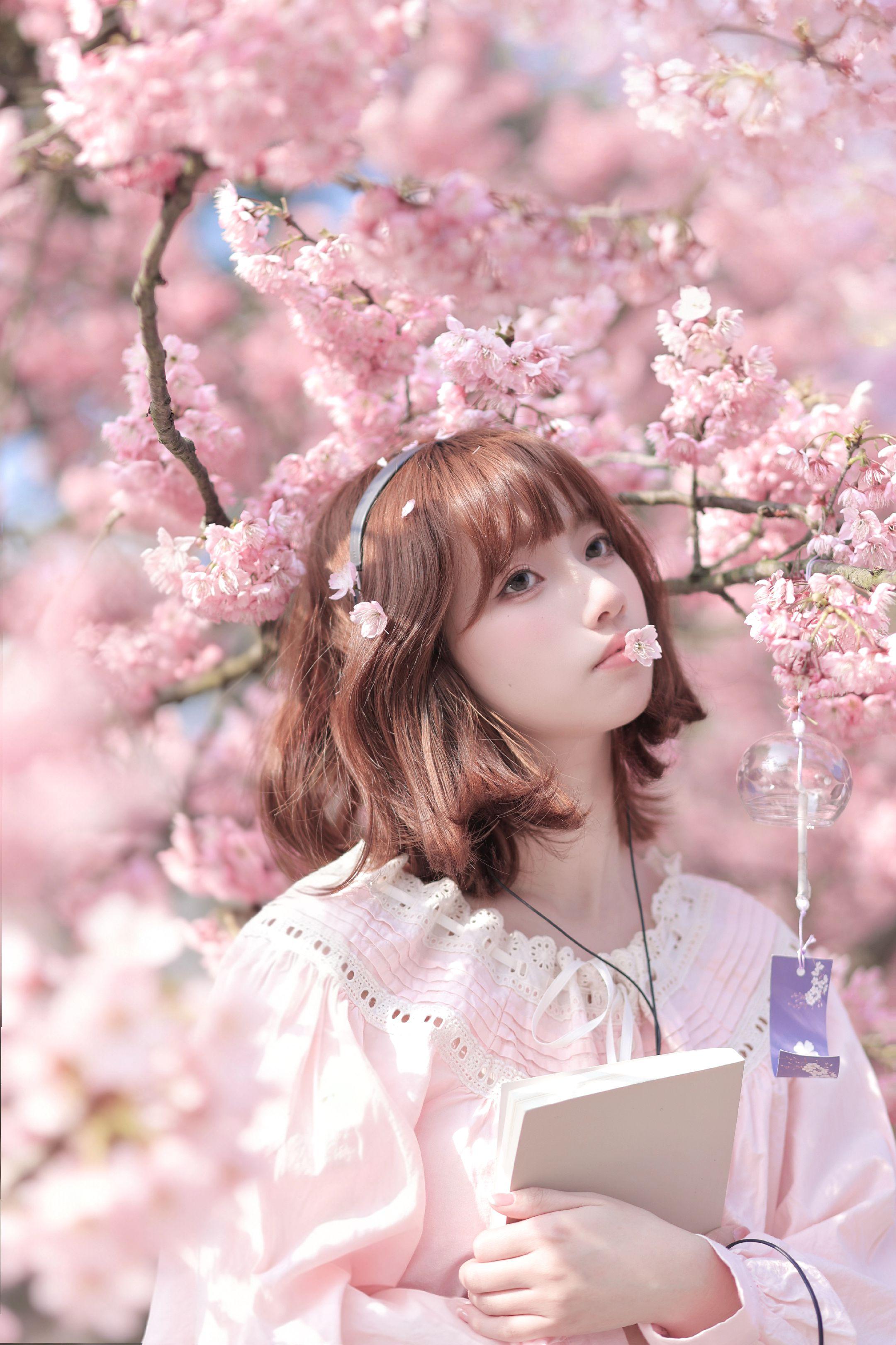 春日的约定🌸。