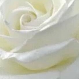 每日一善  🍁每日一善 枯井多年，一场雨后泉水又涌。以为它死了，其实只是在等—