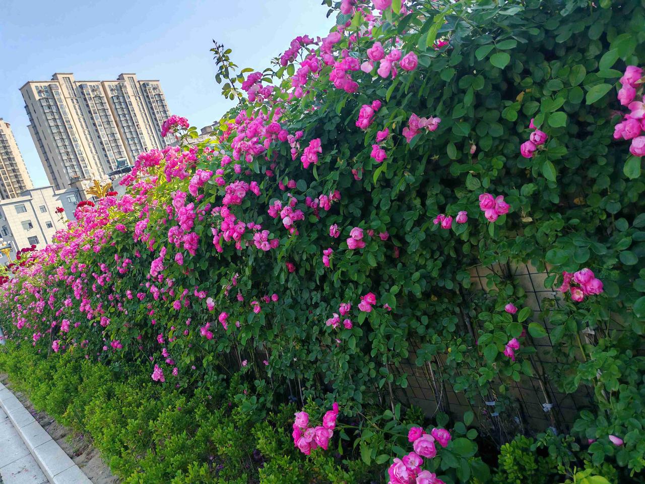 我的今日状态：💰期待暴富
我这里的天气：☀️晴天

今天是5月6日，星期三，五