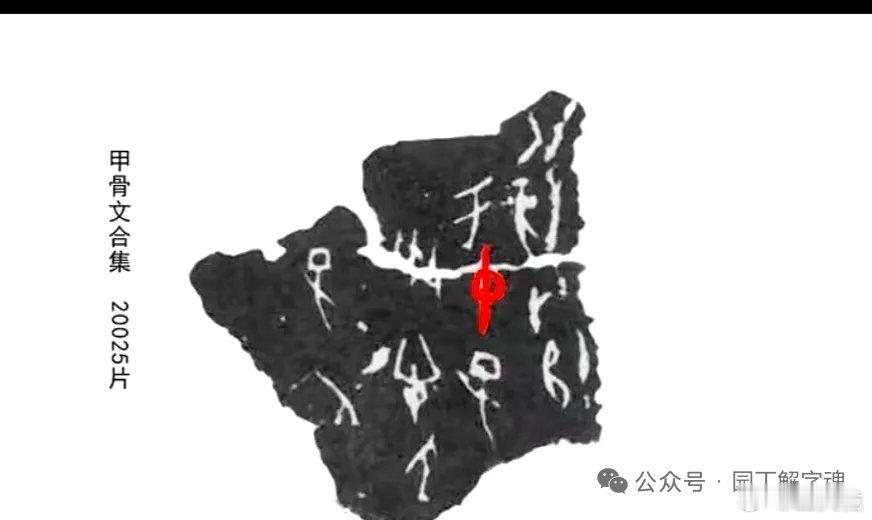 中华复兴的文字喻义：网页链接