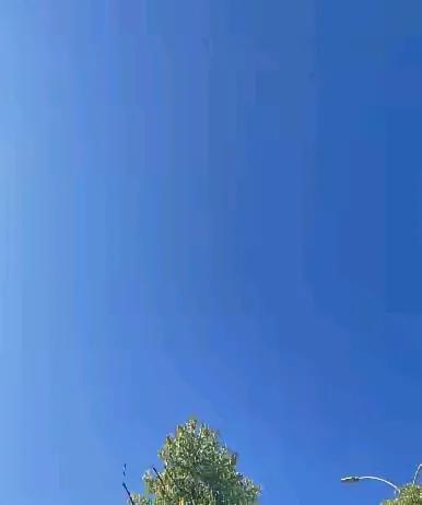 [哈欠]听说今年全国的桂花树都没有开花，是真的吗。今天偶尔听到一件事，说的是刘伯