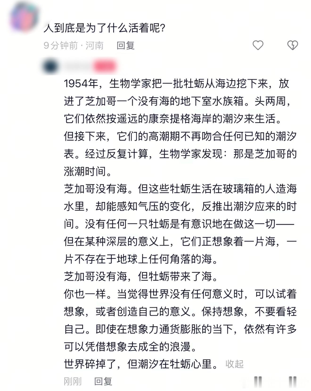 芝加哥没有海，但牡蛎有自己的潮汐。同样的，当觉得世界没有任何意义时，你也可以试着