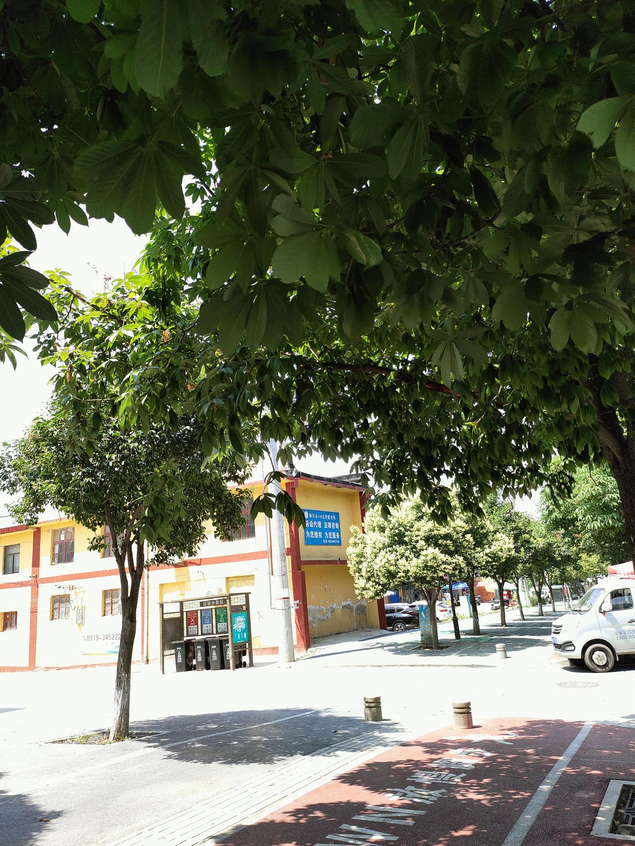 晒图笔记大赛夏日街道绿树成荫，阳光透过层层枝叶洒落满地斑驳树影，红黄相间的沿街小