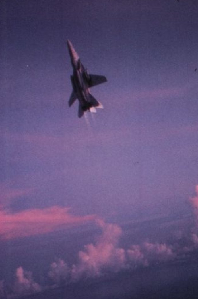 猫宁。霞光下爬山的F-14大猫 