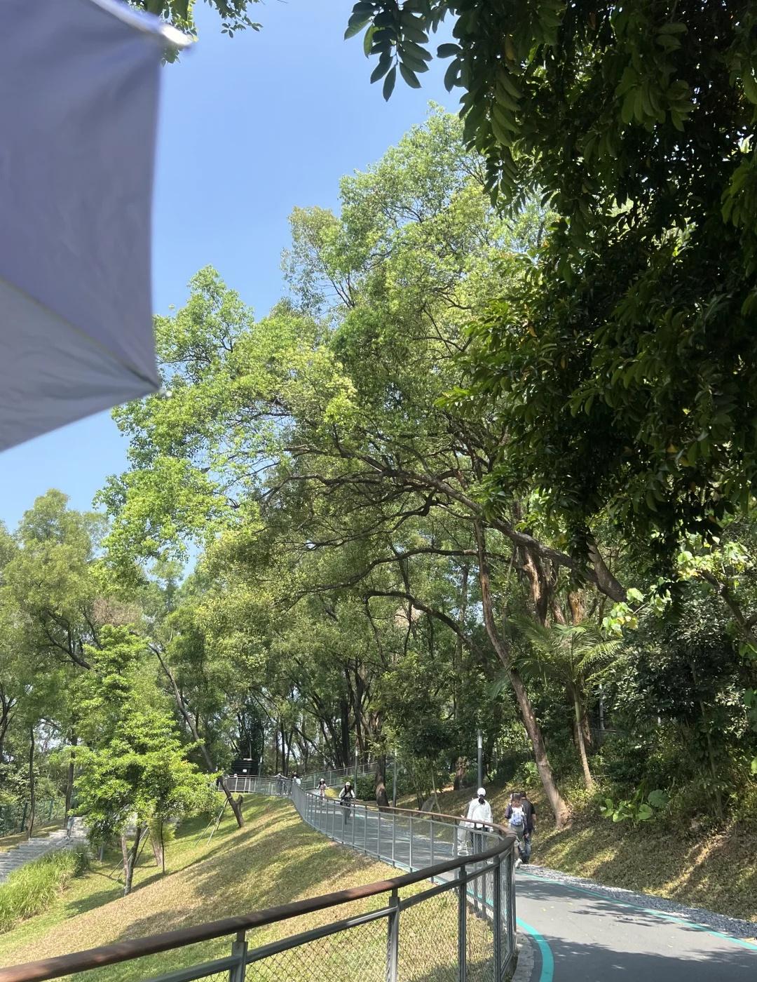 解锁深圳周末新路线 | 西丽湖绿道
总长：15公里，我们走了8.8公里，用时：2