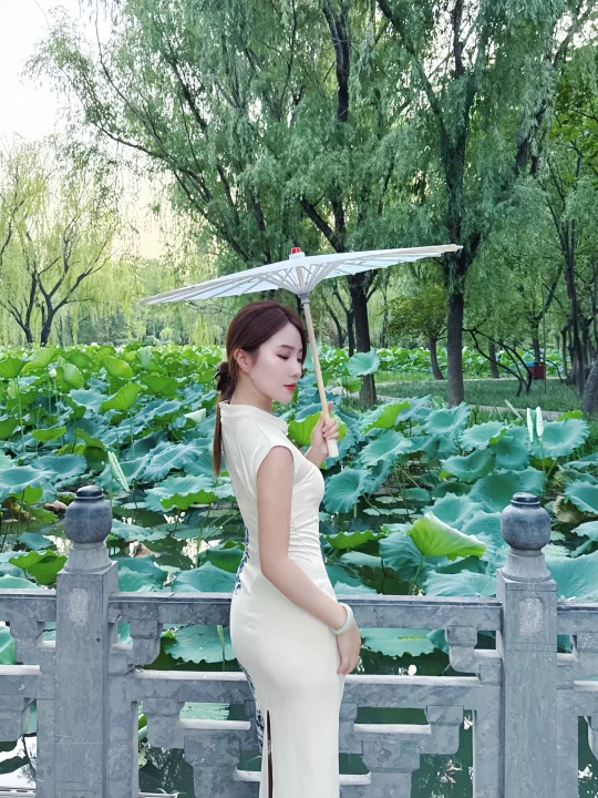 入秋的荷塘 很适合拍照📸