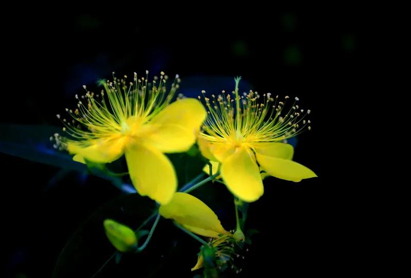 无题
相思无尽泪潸然，
独倚轩窗夜不眠。
明月有情应笑我，
诗笺无限寄君前。