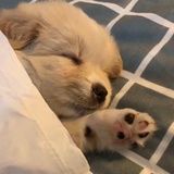 马根爱聚娱乐