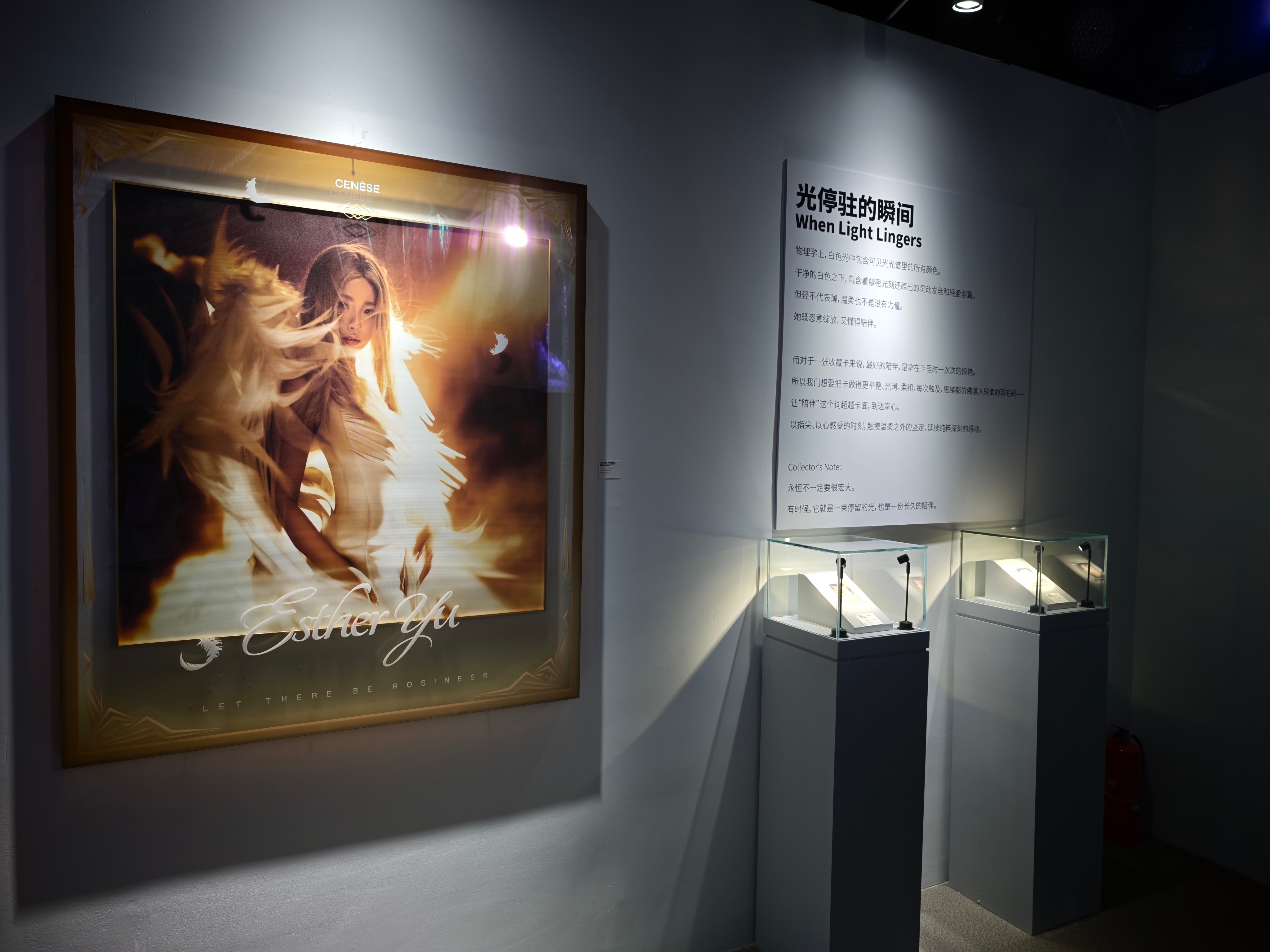 塞纳斯签售完全是小型艺术展来的…[拜托] ​​​