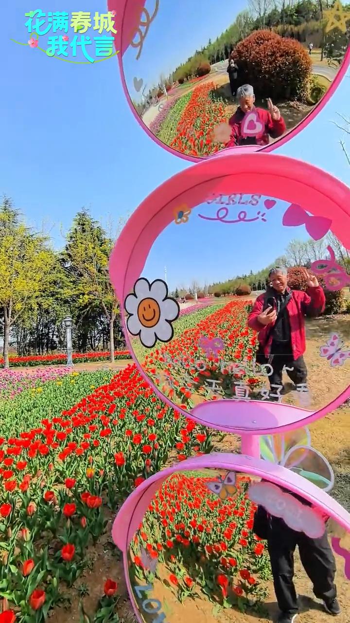 花满春城我代言。
洛阳南山牡丹文化园在郁金香花海中徜徉。