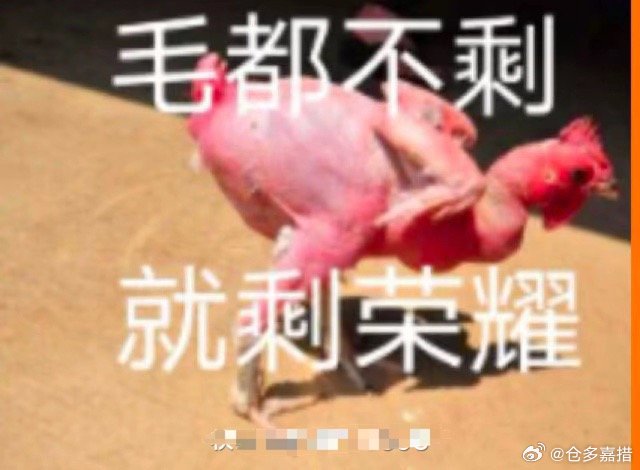 加油、加油、努力💪 
