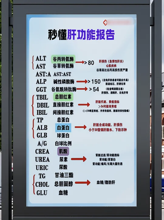 🔥肝功能检查单，就看这3个关键指标！救命必懂！​​ 体检查肝功，单子...
