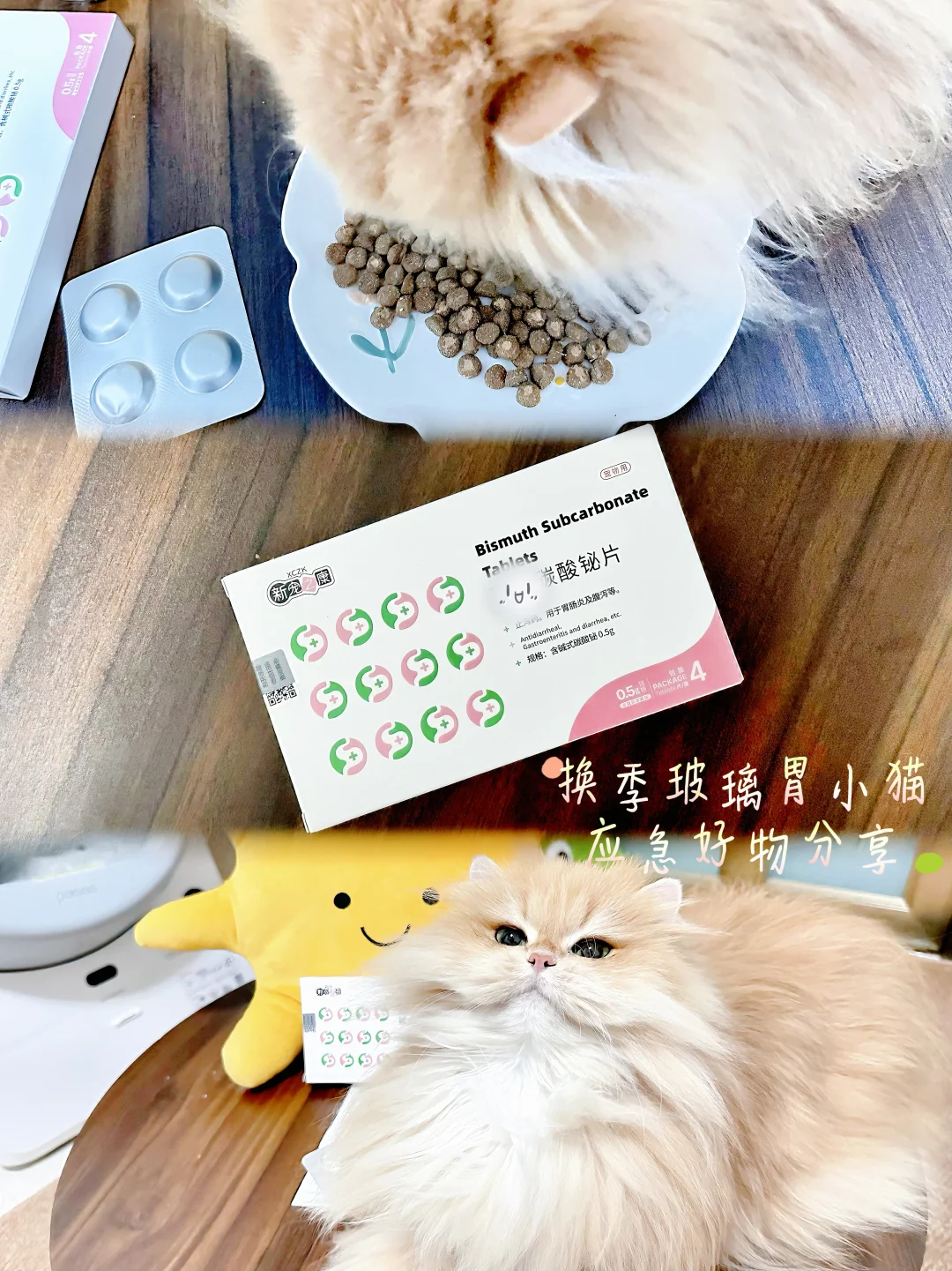 新手养猫｜玻璃胃小猫的换季应急好物分享