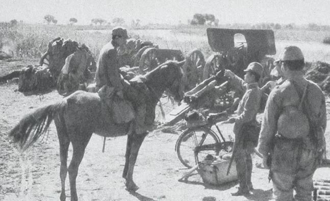 1945年日本投降，留下7万多匹花45年培育的“东洋大马”。这批亚洲最精锐的军马