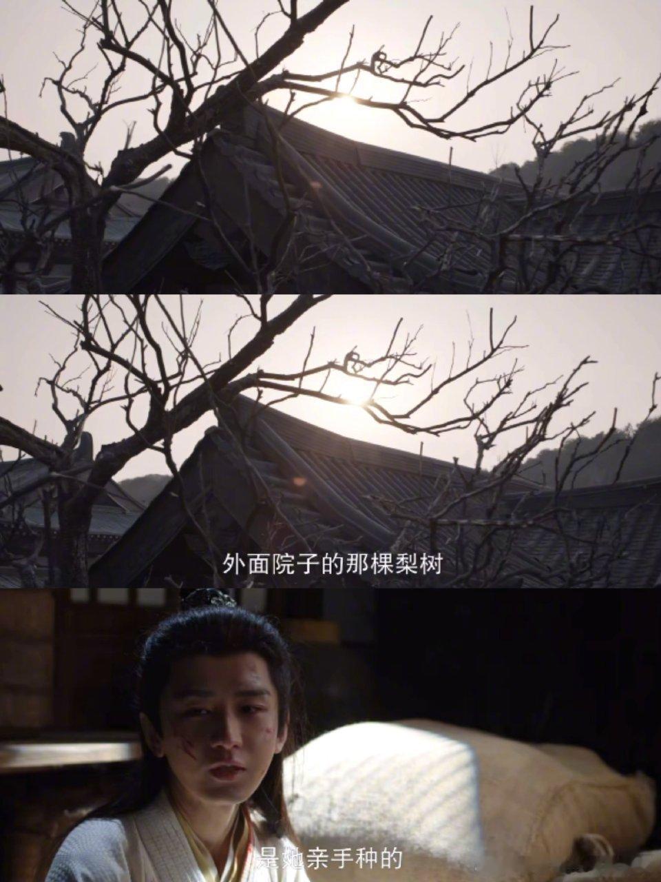 谢淮安一集幻视三个故人谢淮安的意难平全写脸上了吧，对着旧物睹物思人，千言万语哽在