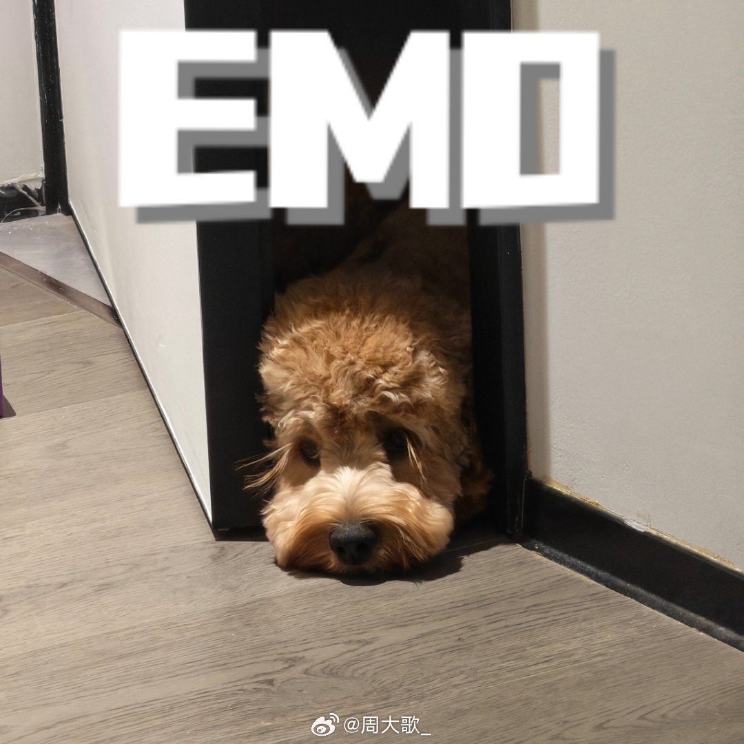 今天咋回事，丢三落四😵‍💫到了拍摄现场，发现出门忘带麦克风和道具还好拍摄地点
