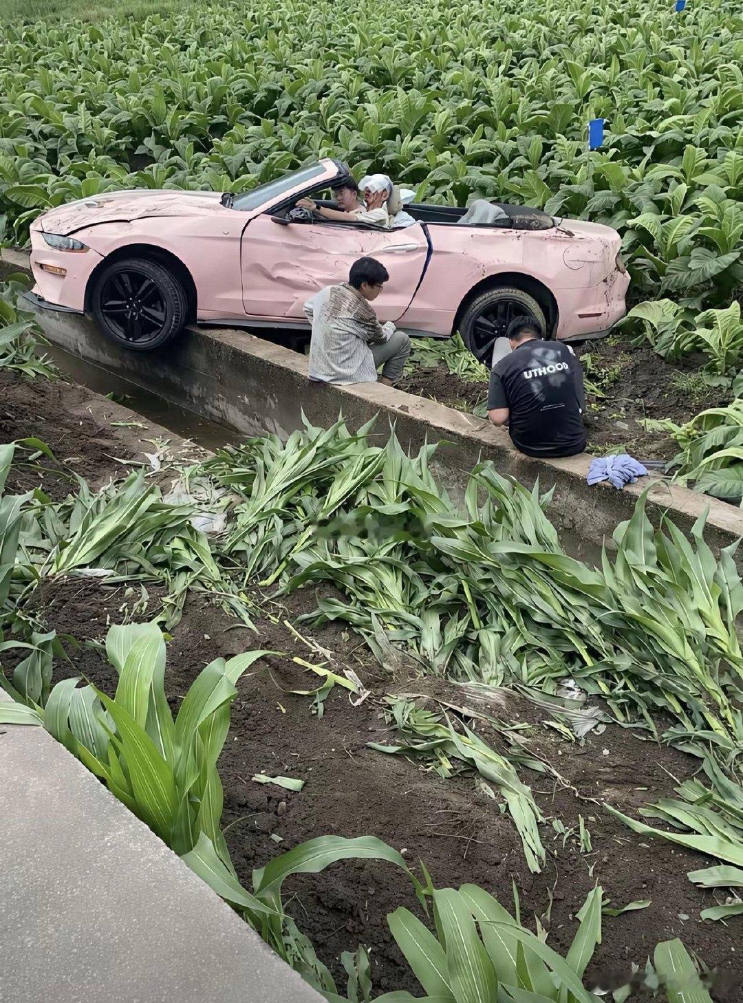 租车给他们的人，真是亏麻了，保险公司肯定不管了。 