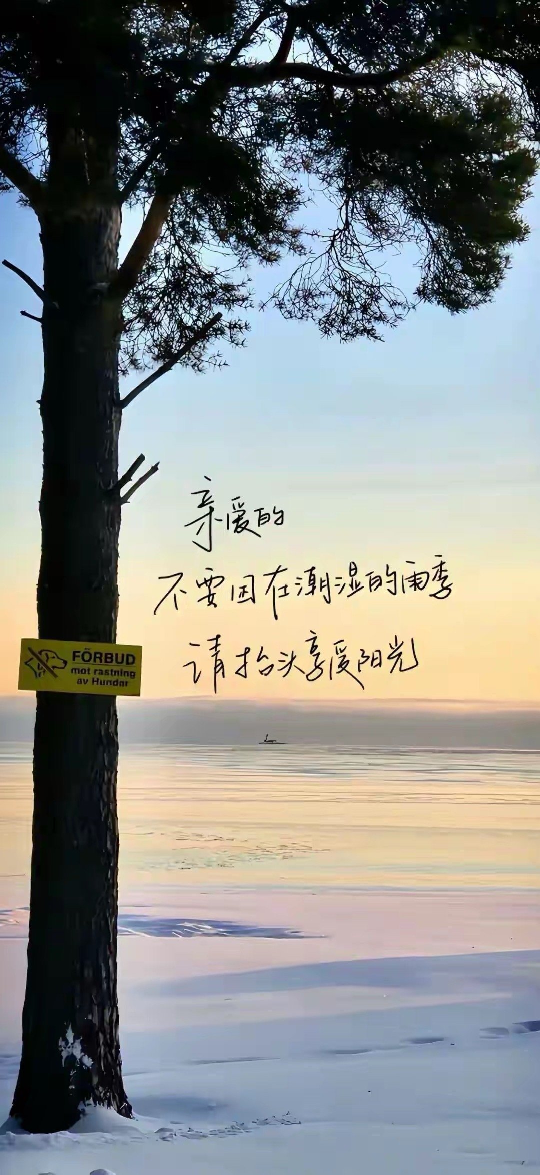 生活的模样  很多烦恼，皆源于心中难以放下的执念。总是揪着过往的遗憾反复回味，又
