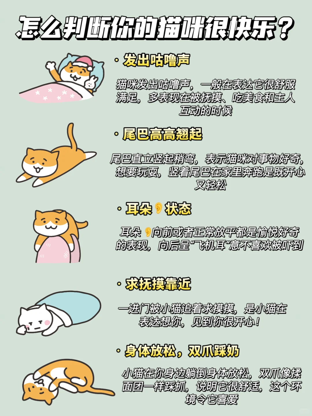 如何判断你的猫咪很快乐？
