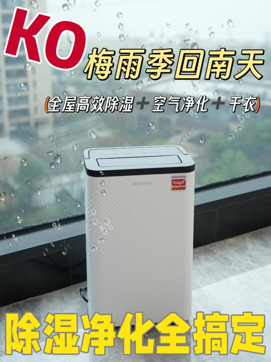 南方人听劝🌧️梅雨季救命神器真不是广子