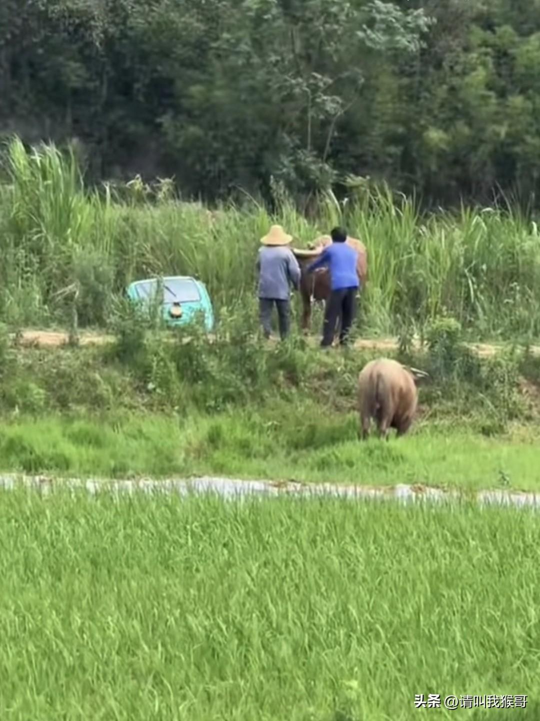 搞了半天白忙活了