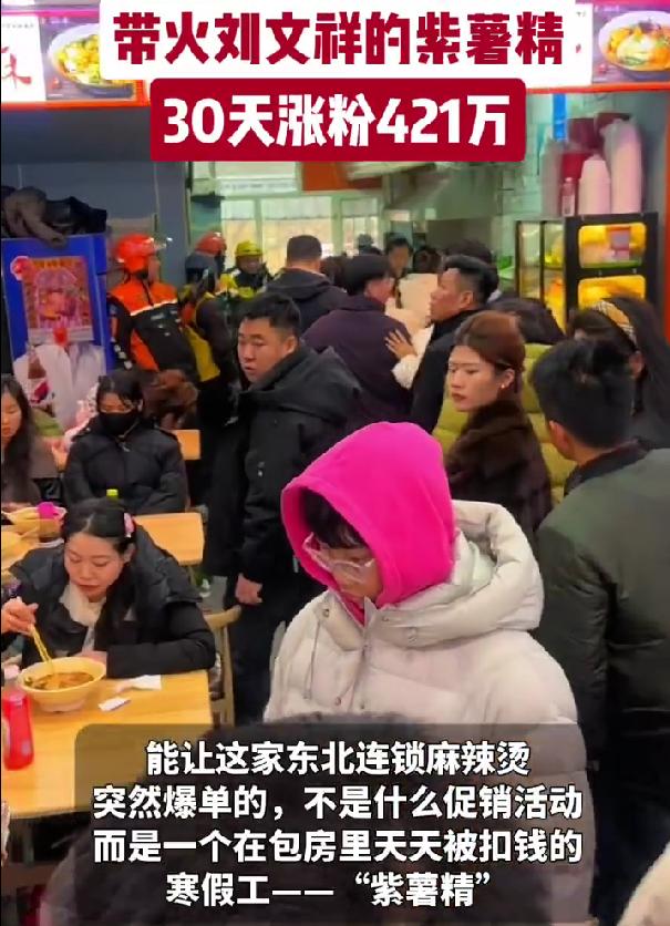 紫薯精 30 天涨粉 421 万，带火刘文祥，周小闹凭什么爆火
开工第一周最忙的