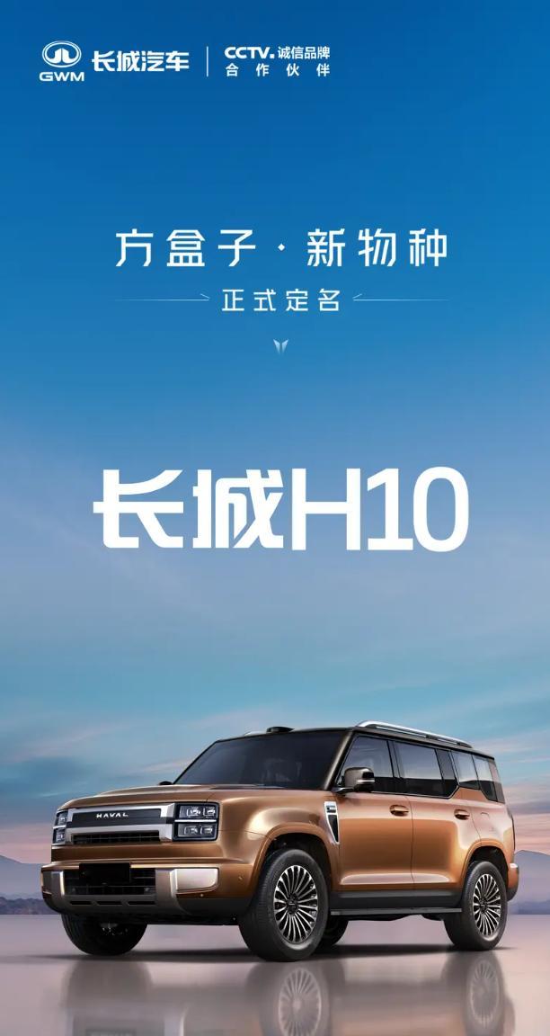 车若初见 魏总这波真敞亮，说让网友定名就让网友定名，力排众议把名字落地，新的方盒