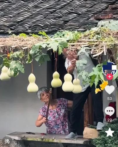 葫芦就在那，它们不会说话。绍兴河边，七个青葫芦消失又重现，这里藏着中国社会最动人