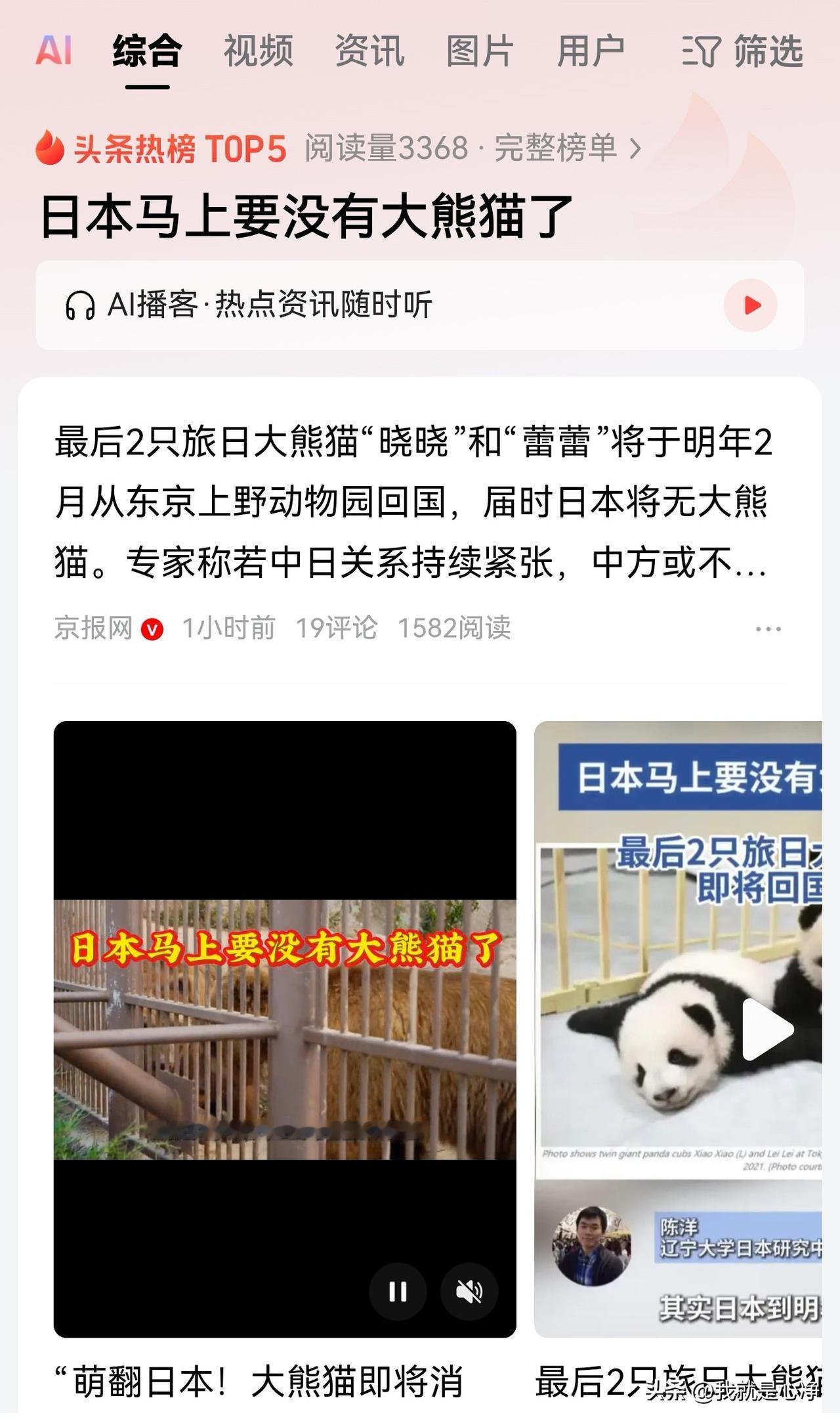 为了防止日本军国主义分子们虐待咱们国家的大熊猫。
强烈建议国家提前将咱们的大熊猫