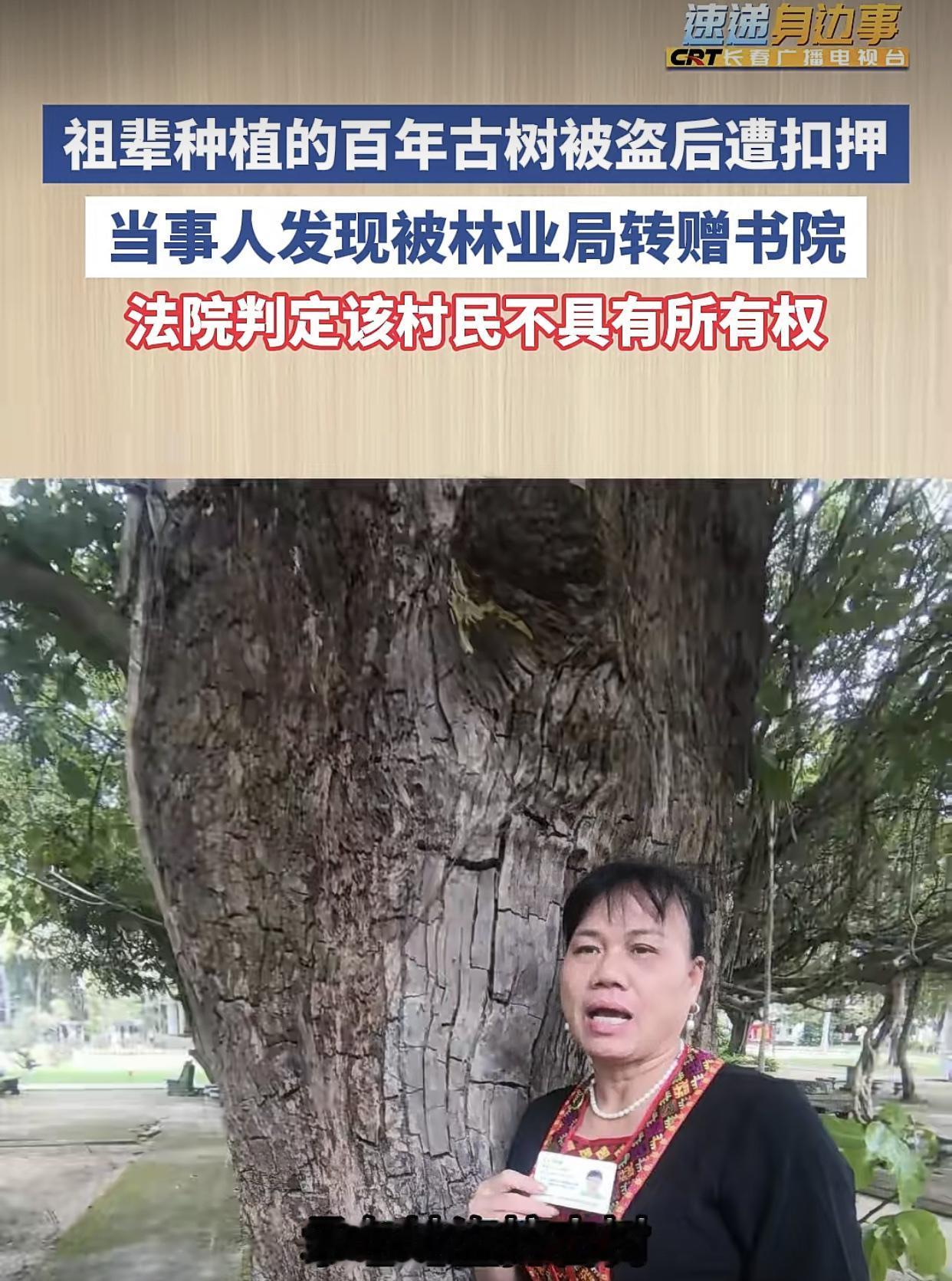 海南儋州，一棵价格约200w的古树，一夜之间凭空消失！

儋州白沙一户姓符的村民